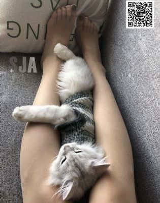 修理工调教_剧情片迅雷电影在线
